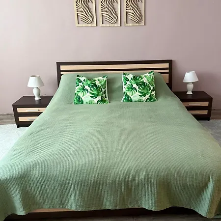 Modern Two Bedroom Apartamento Druskininkai