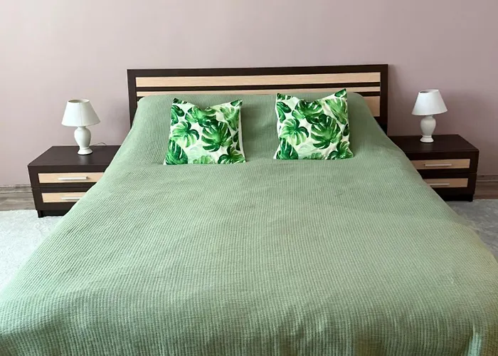 Modern Two Bedroom Apartament Druskieniki